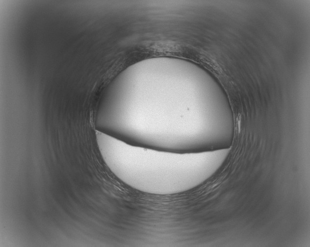 X0000069841251200605190959