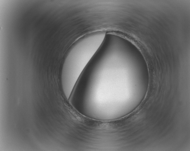 X0000069841265200605190958