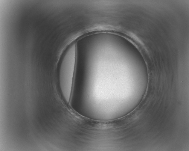 X0000069841269200605190958