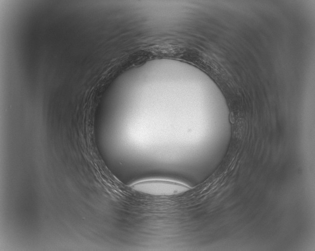X0000069841297200605190957