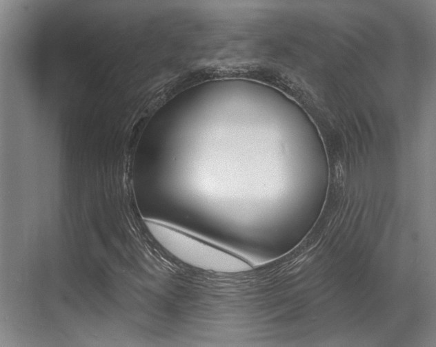 X0000069841300200605190957