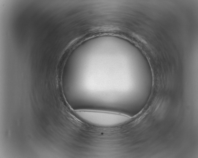 X0000069841306200605190957