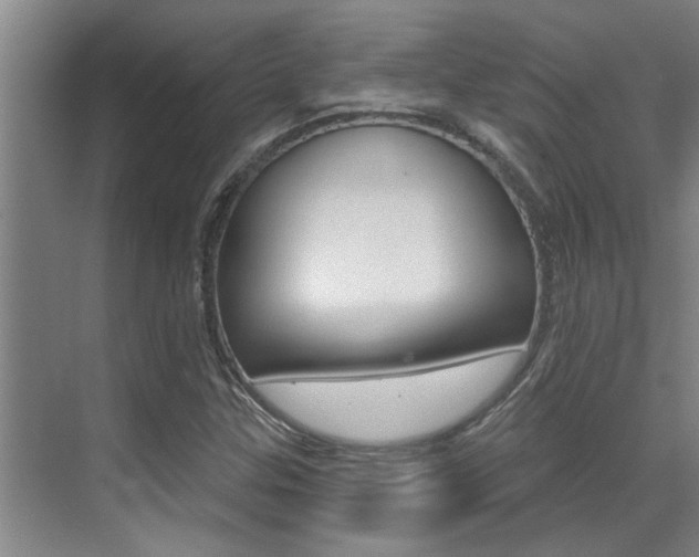 X0000069841307200605190957