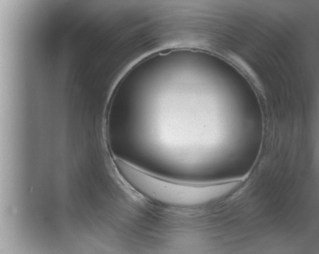 X0000069841340200605190958