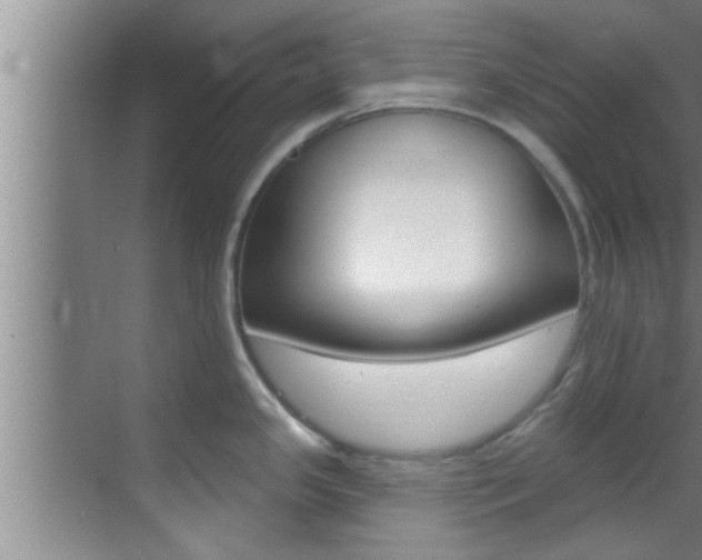 X0000069841341200605190958