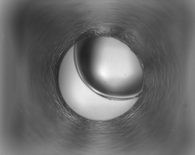X0000069841345200605190957