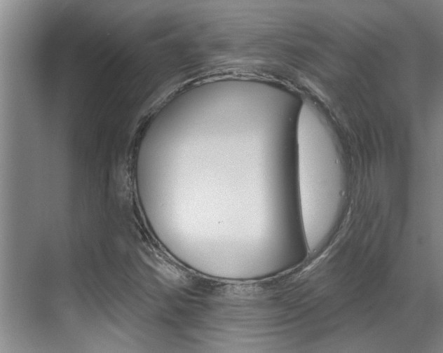 X0000069841354200605190957