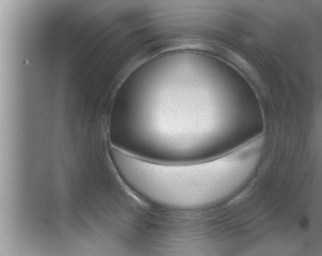 X0000069841377200605190956