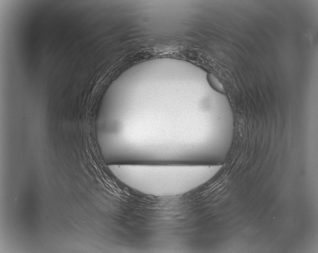X0000069841393200605190955