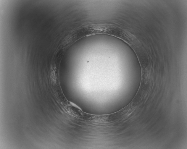 X0000069841394200605190955