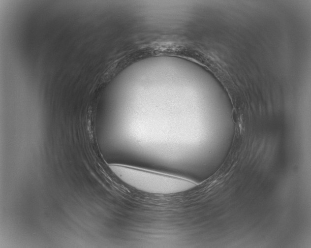 X0000069841396200605190955