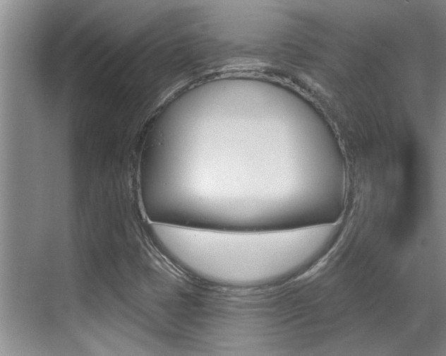 X0000069841401200605190956