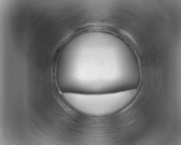 X0000069841403200605190956