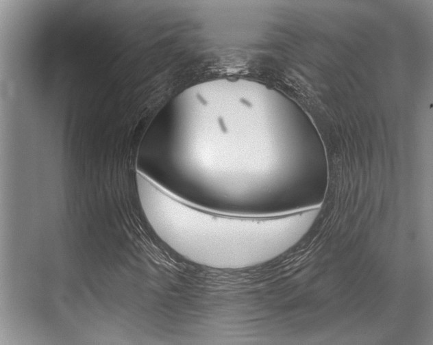 X0000069841442200605190955
