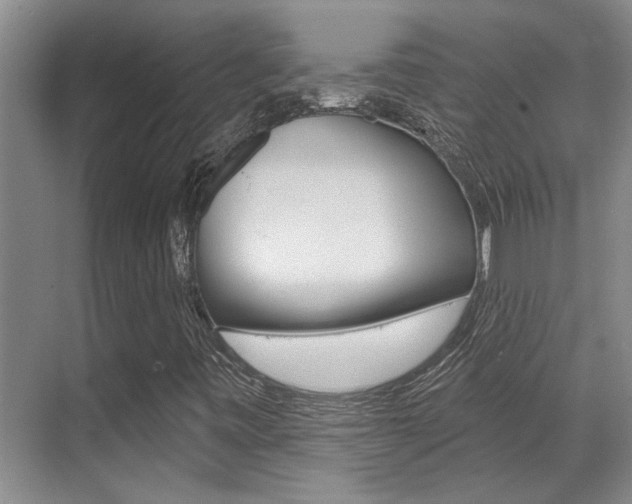 X0000069841443200605190955