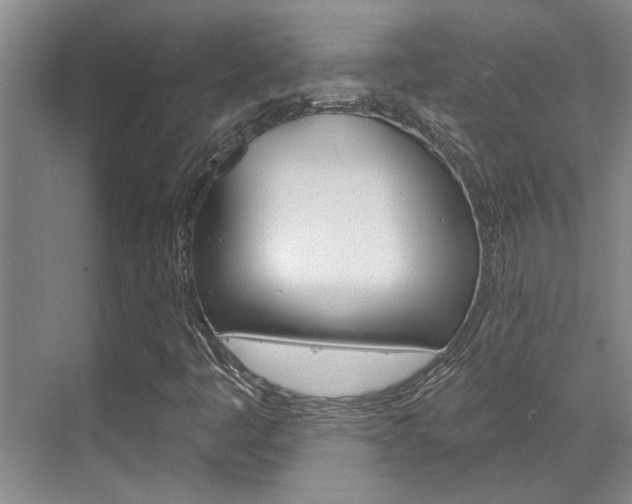 X0000069841445200605190955