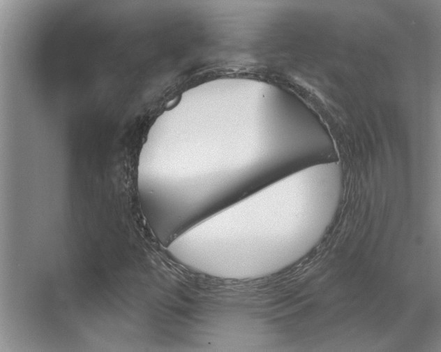 X0000069841447200605190955