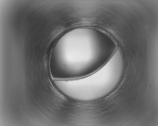 X0000069841450200605190955