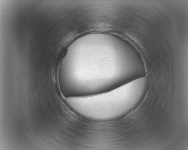 X0000069841451200605190955
