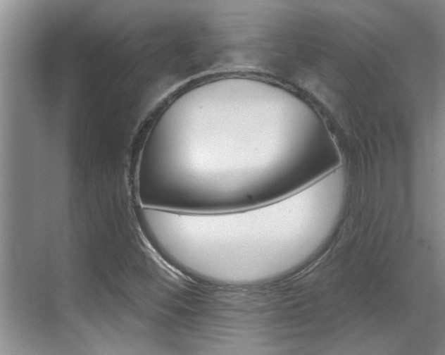 X0000069841452200605190955
