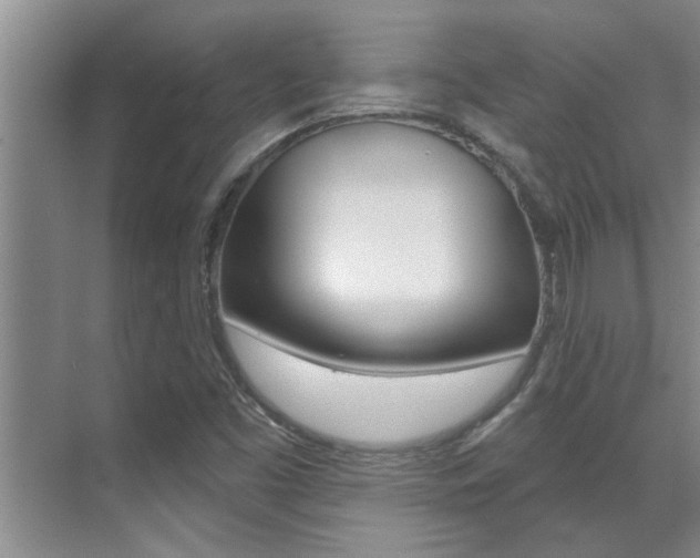 X0000069841453200605190955