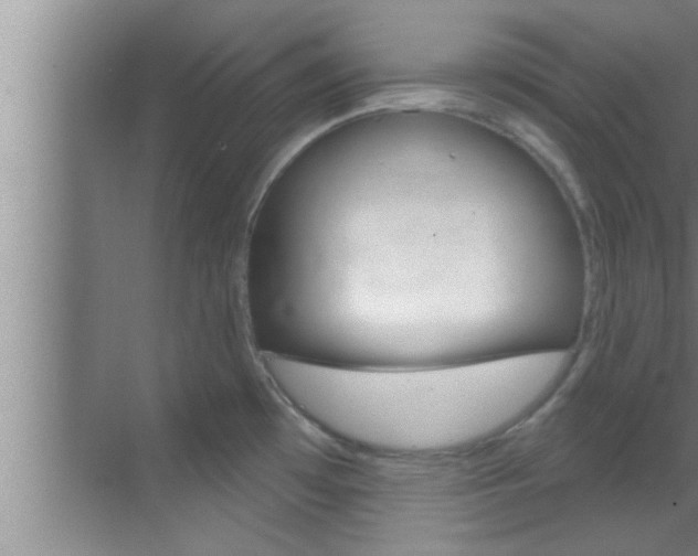 X0000069841481200605190955