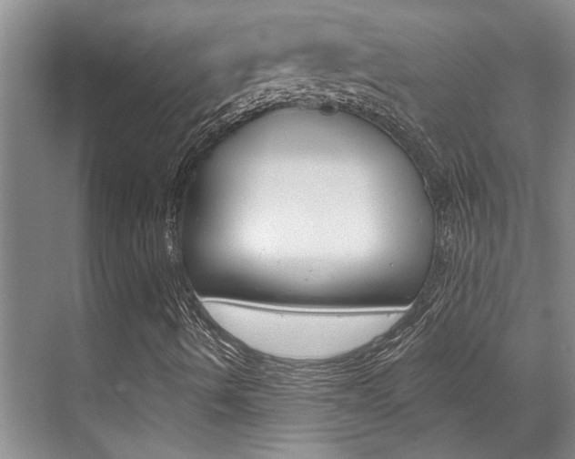 X0000069841490200605190954