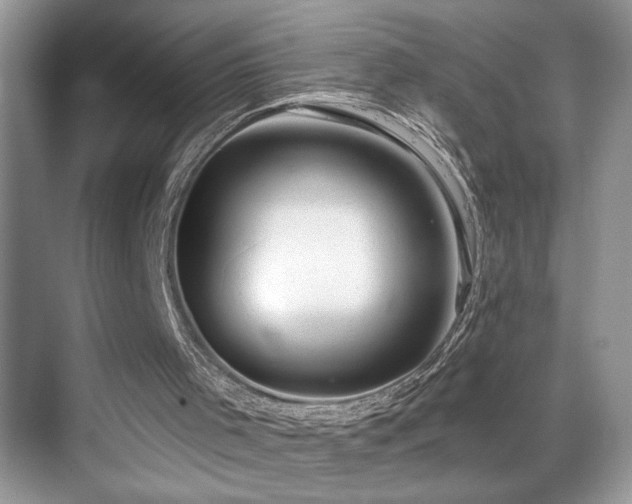 X0000069840001200605191218