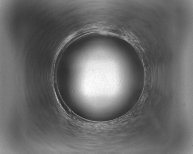X0000069840003200605191218