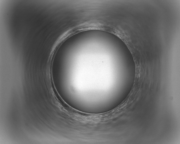X0000069840004200605191218