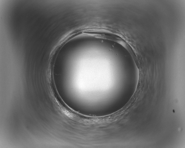X0000069840005200605191218