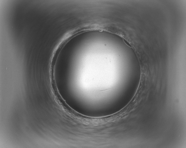 X0000069840006200605191217