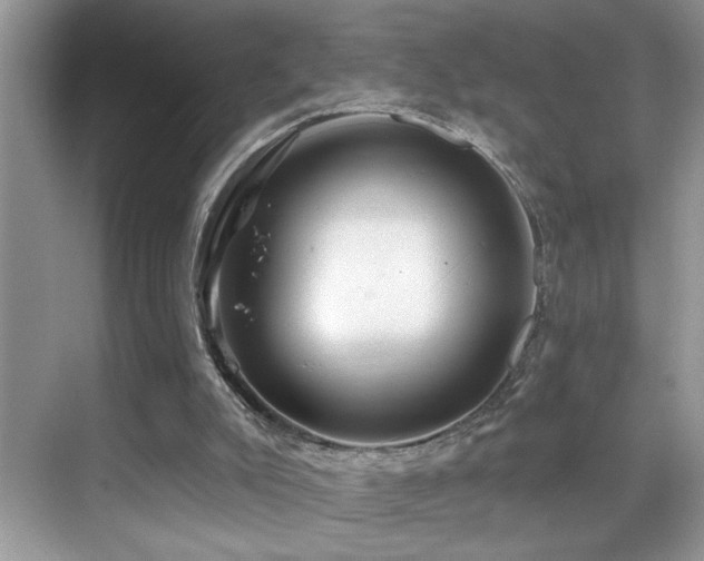 X0000069840007200605191217