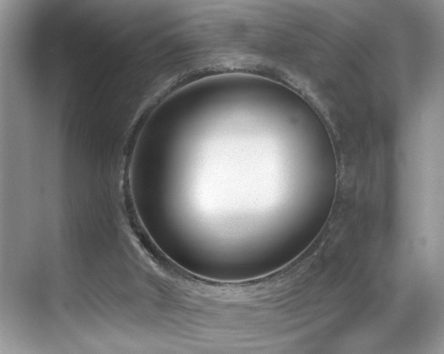 X0000069840010200605191217