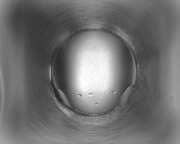 X0000069840013200605191217