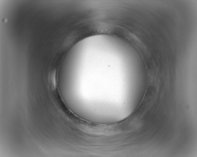 X0000069840028200605191217