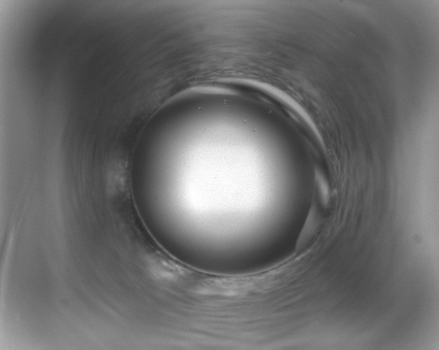 X0000069840033200605191217