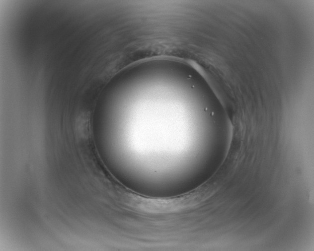 X0000069840034200605191217
