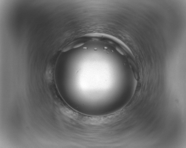 X0000069840037200605191217