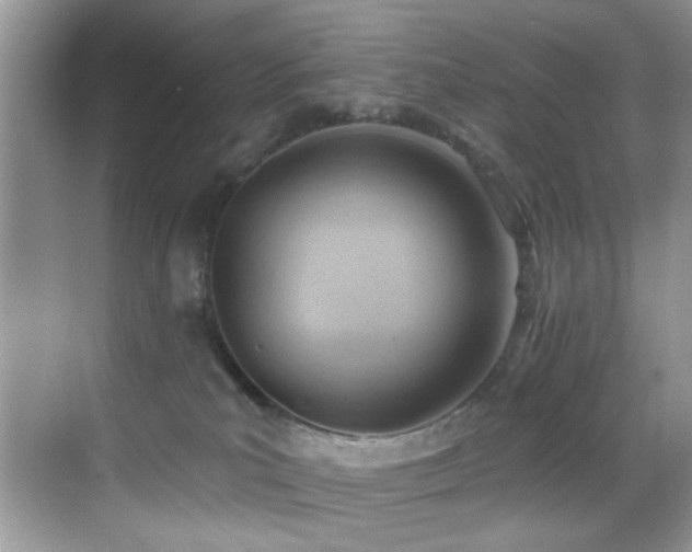 X0000069840039200605191217