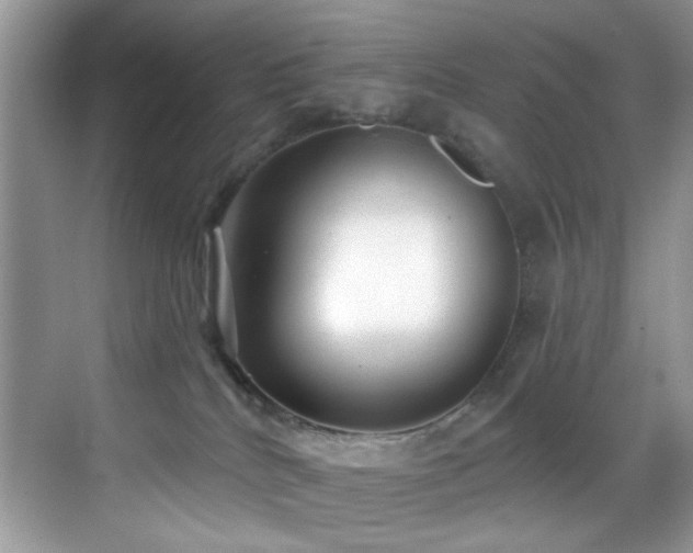 X0000069840040200605191217
