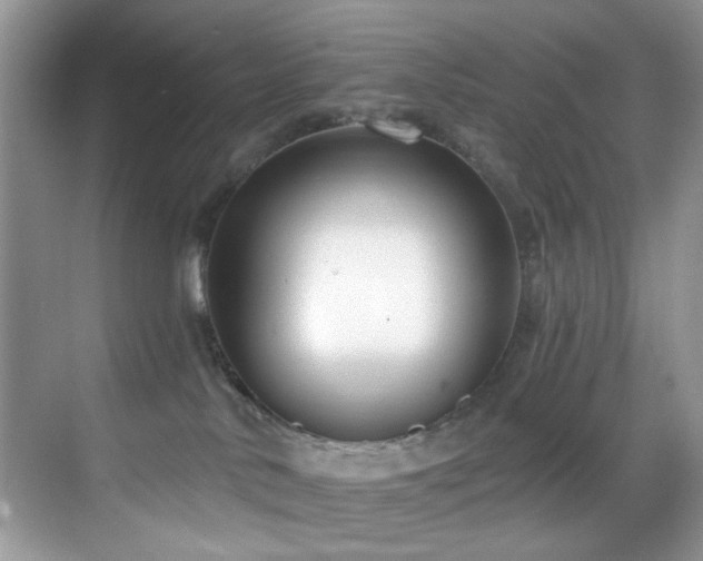 X0000069840042200605191217