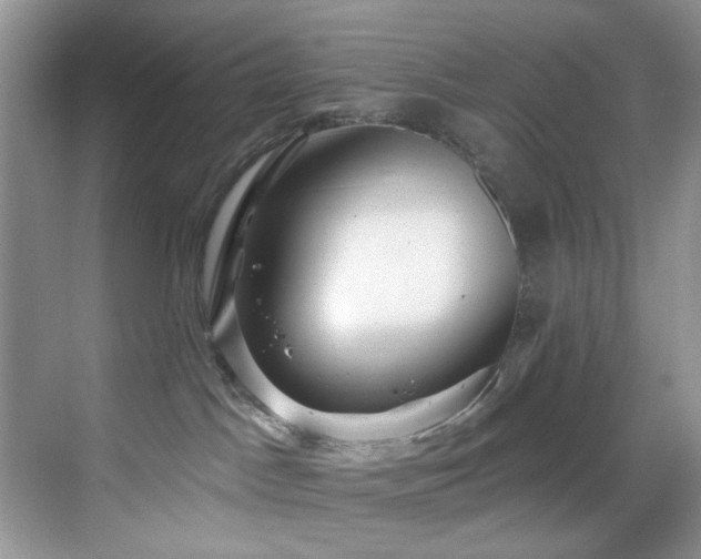 X0000069840045200605191217