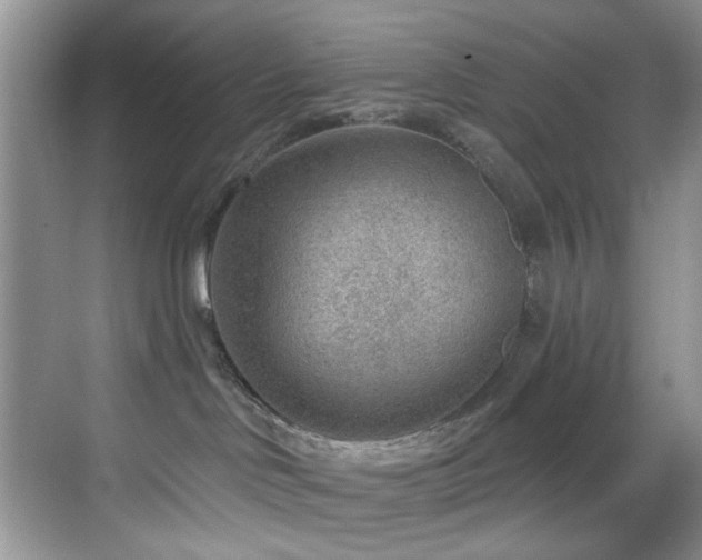X0000069840046200605191217