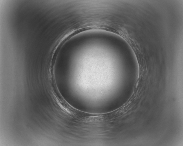 X0000069840050200605191216