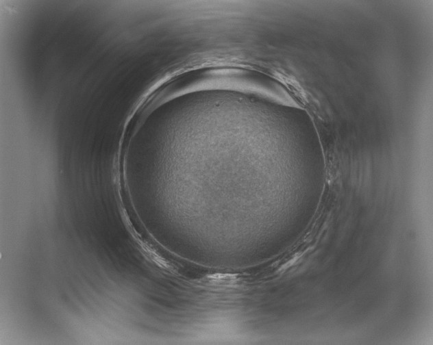 X0000069840052200605191216