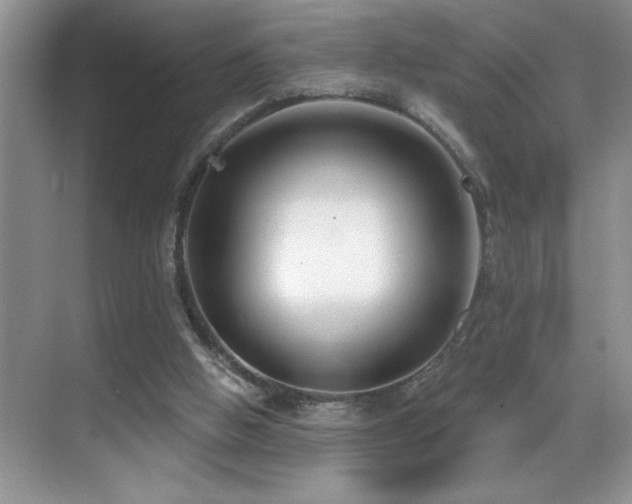 X0000069840058200605191216