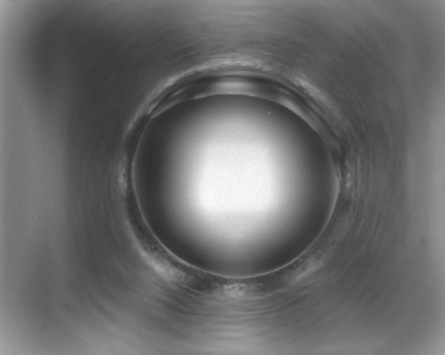 X0000069840064200605191216
