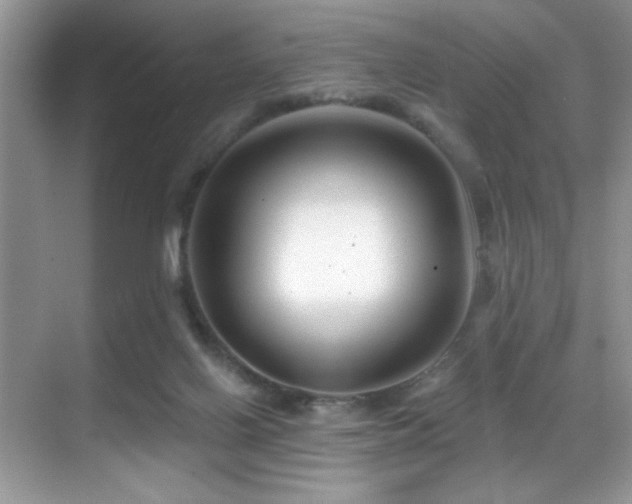 X0000069840070200605191216