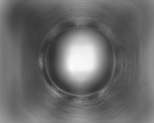 X0000069840074200605191216